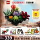 LEGO乐高10309 多肉植物拼装积木玩具益智收藏 礼物