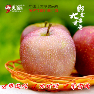 美域高洛川苹果8枚野苹果丑苹果 不打蜡带皮吃的野苹果 脆甜多汁- 步