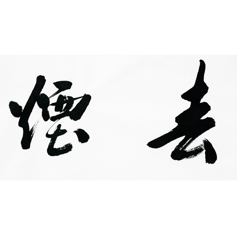 余一石 《柳色春烟》 中国书法家协会会员