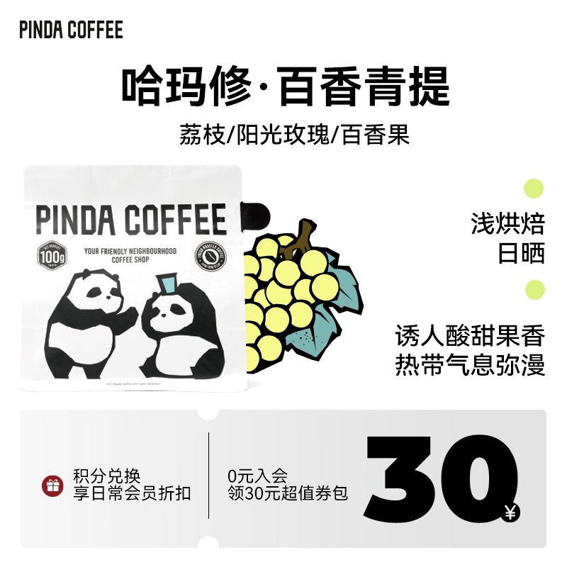 新品埃塞哈马修日晒Hamasho班莎74158西达摩 PINDA手冲精品咖啡豆