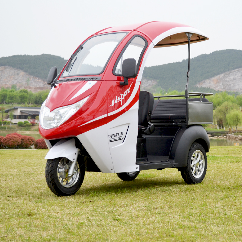 雷霆皇敞篷n100s电动三轮代步车家用半封闭客货两用可加雨帘