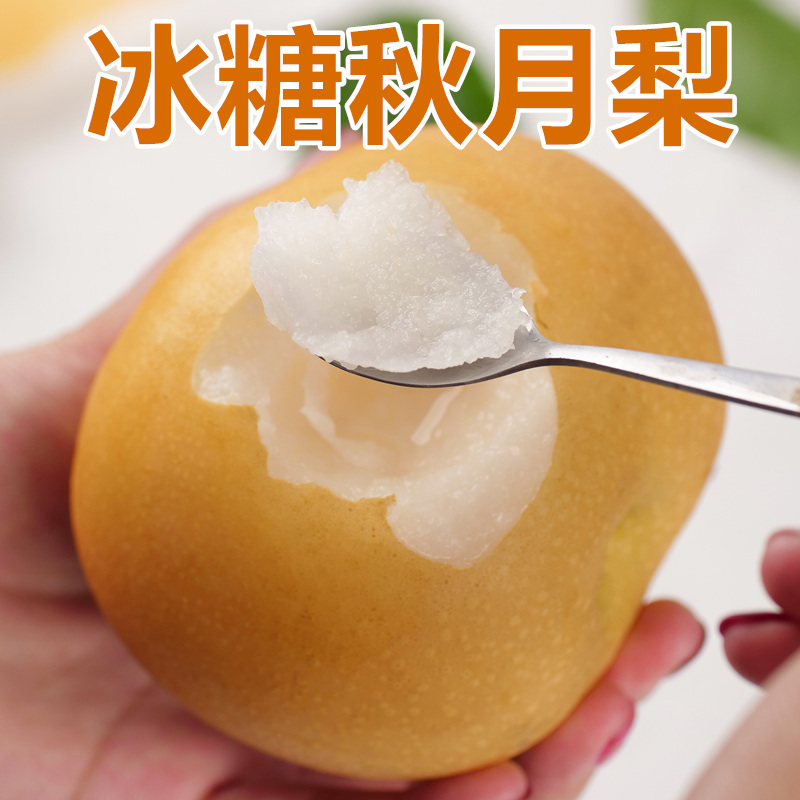 正宗秋月梨新鮮水果梨子當季10應季山東萊陽冰糖梨脆甜整箱包郵在類目 水產肉類/新鮮蔬果/熟食, 新鮮水果, 梨中 - 來自Buy2taobao.com提供專業的淘寶代購服務