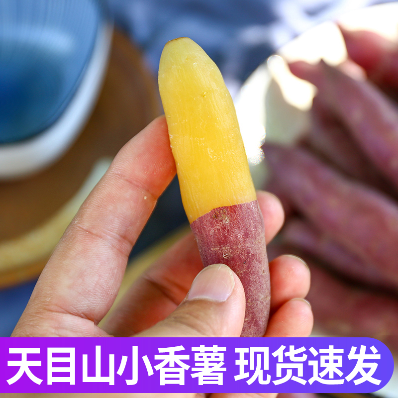临安天目山小香薯5斤红薯新鲜农家自种正宗板栗小番薯地瓜旗舰店