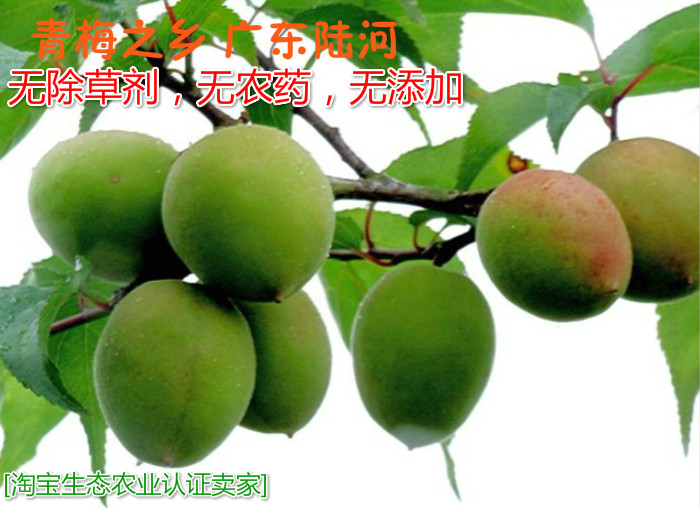 青梅 新鲜排行榜