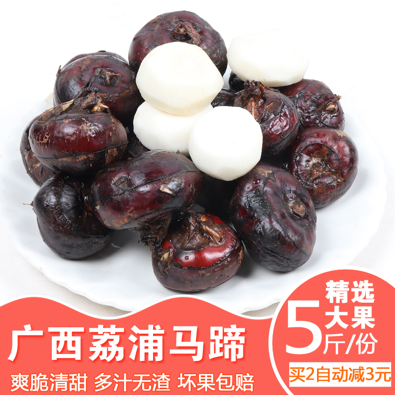 fresh Guangxi Li Riverside Horse's hoof Fruit water chestnut Pears landscape Season Vegetables Hot Pot Ingredientsin the Aquatic meat/Fresh fruits and vegetables/Cooked , Fresh vegetables/Vegetable products , Fresh vegetables , Water chestnuts/Horse's hoof category - from Buy2taobao.com to provide professional Taobao agent buy service