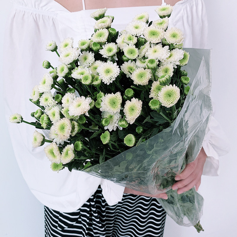 云南鲜花直发小雏菊花束送女朋友生日礼物同城速递包邮插花家用