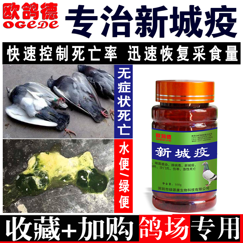 欧鸽德鸽药大全新城疫赛鸽信鸽甩拉吐嗉囊炎腺病毒下痢鸽子常见病