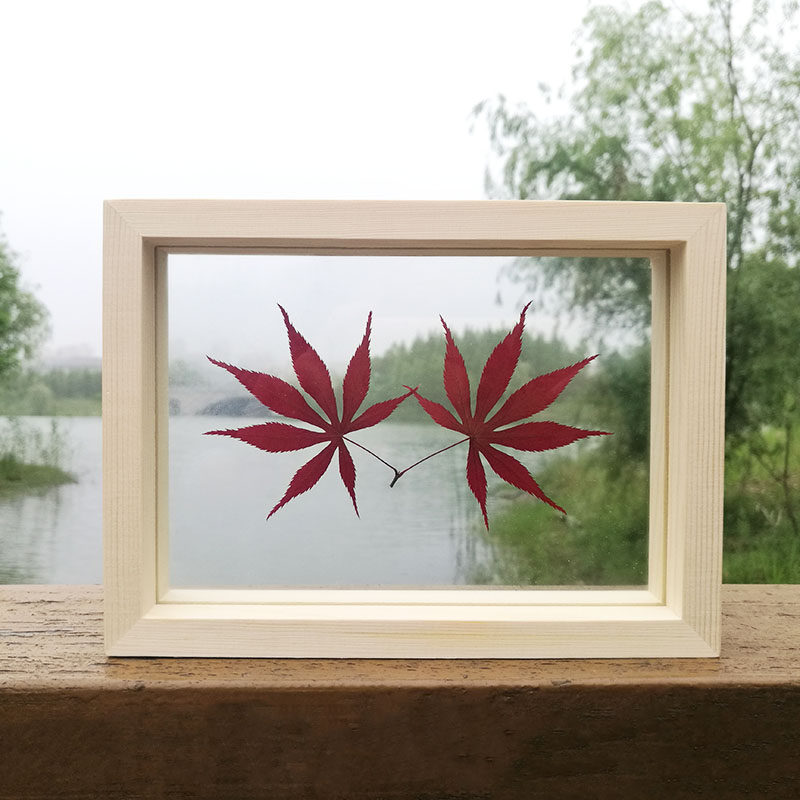 香榭的落叶枫叶标本礼物真树叶子红干花植物立体相框男友女生告白