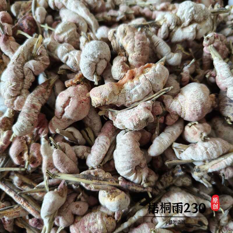 中药材竹花竹菌1000克竹黄菌天竺