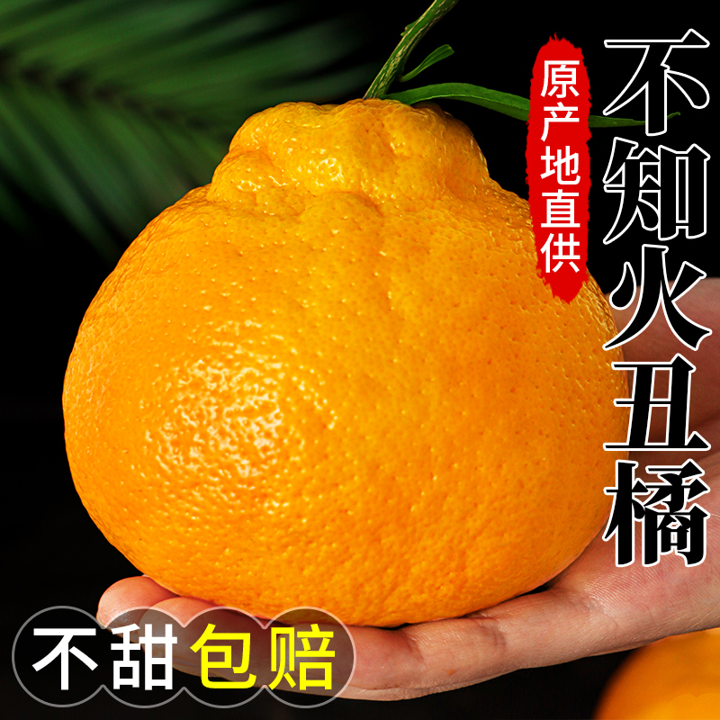 四川不知火丑橘10斤水果新鲜当季整