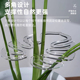 植物枝干支撑杆防倒伏支架固定器收拢架龟背竹水培神器绿植花支架