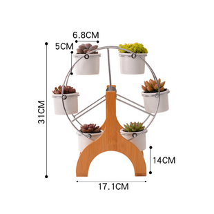 多肉小盆栽套餐组合创意个性贵货精品植物花卉绿植物室内花盆架i.