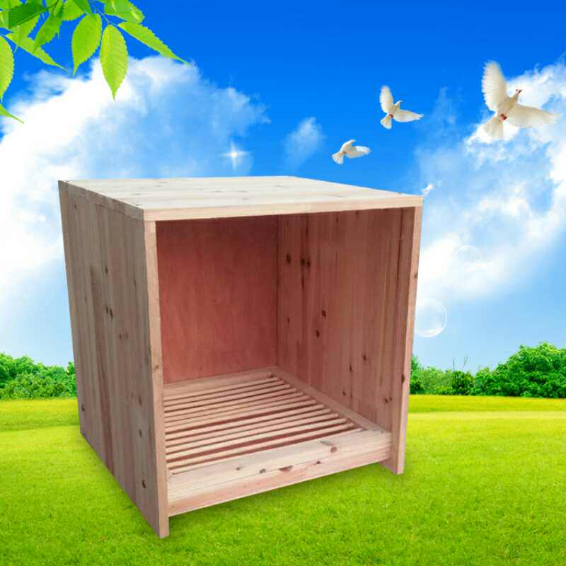 热销鸽子训飞笼