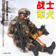 PLA军事纪念摆件 1/6解放军陆军特种部队 兵人手办模型 07式荒漠