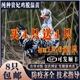 鸡活苗贵妃鸡苗贵妃鸡活苗贵妇鸡苗小鸡活苗半大鸡脱温苗包活到家