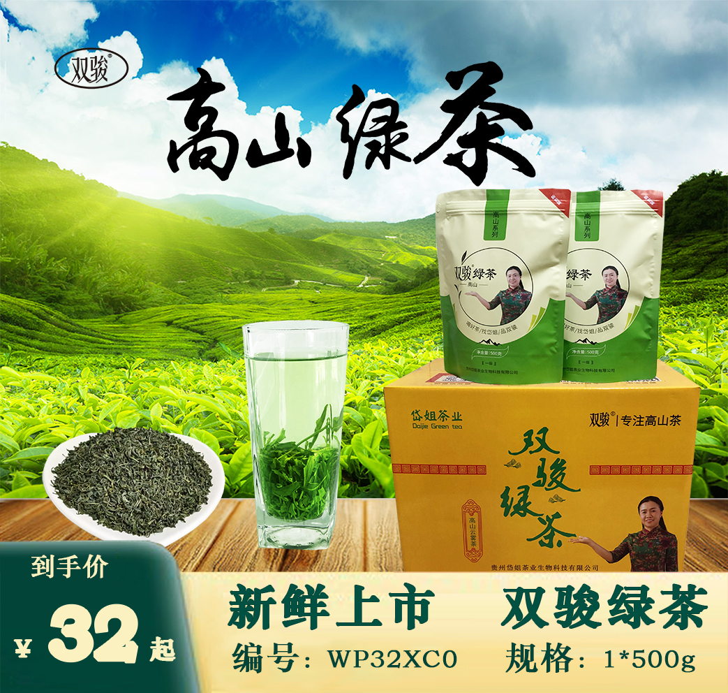 双骏茶叶WP32XC0绿茶日照充足高山云雾绿茶浓香型2023年新茶500g