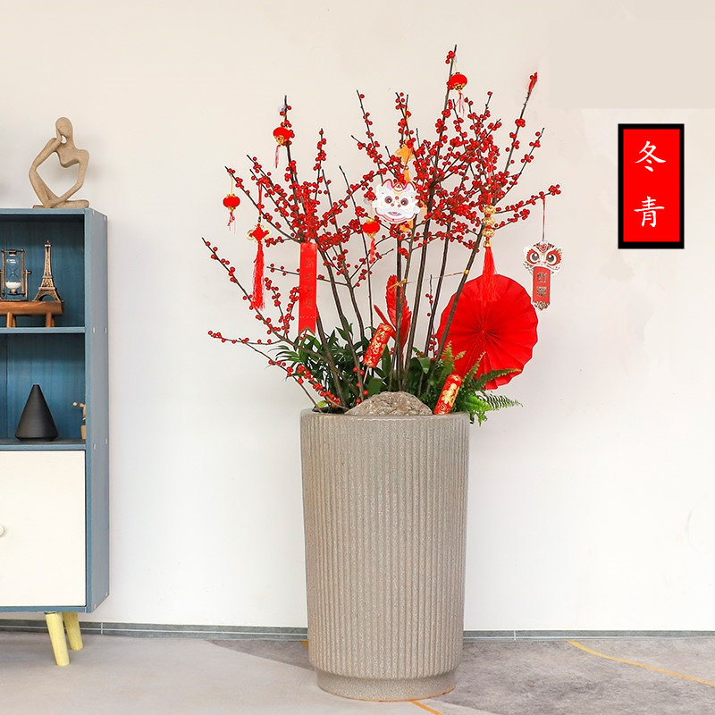 春节过年宵花卉北美冬青盆栽绿植带红果室内前台乔迁花卉天津植物