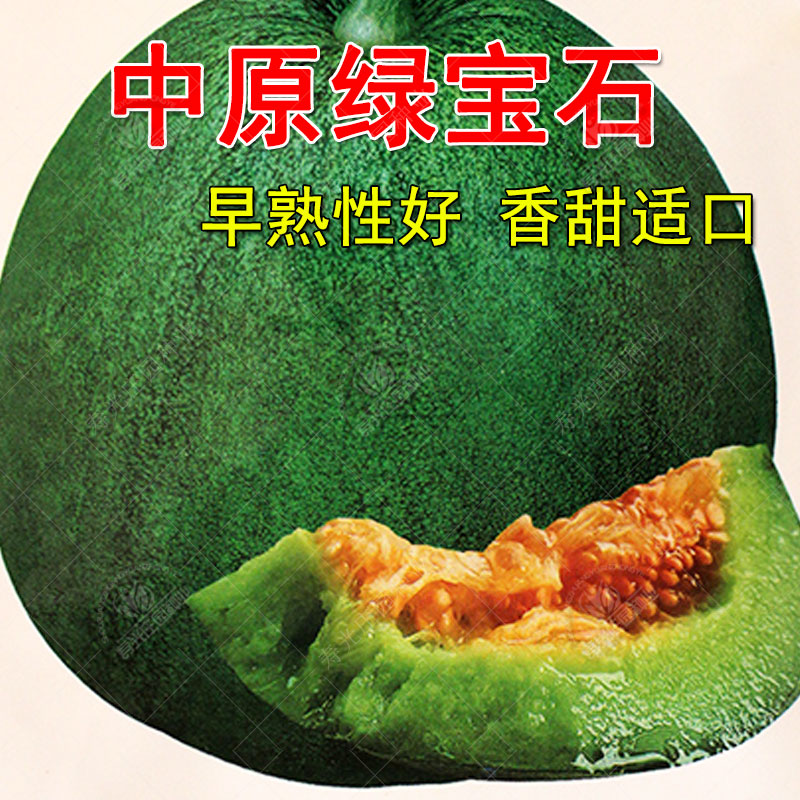 搜索"绿宝石甜瓜种子"的优惠券结果页-搜券网