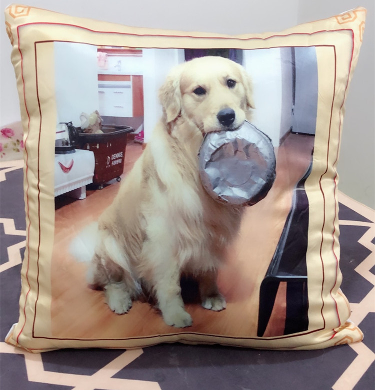 神犬皮蛋大抱枕 包含枕芯枕套 45x45cm在類目 居家布藝, 靠墊/抱枕中 - 來自Buy2taobao.com提供專業的淘寶代購服務