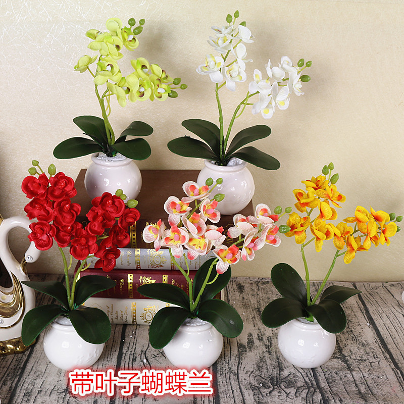 跨境迷你蝴蝶兰小兰花假花6色 套装仿真植物迷你叶子蝴蝶兰Q11|ruв категории доставка цветов/цветок моделирования/растения садоводства, вечную жизнь цветы/сушеные цветы, сушеные цветы - от Buy2taobao.com для оказания профессиональной услуги покупки агента Taobao