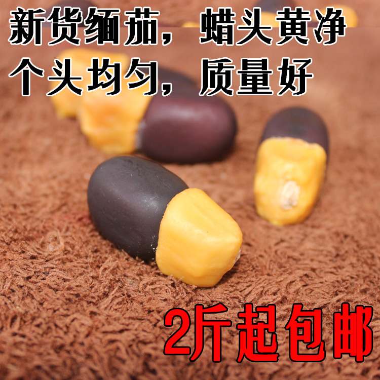 2020新货缅茄菩提子未抛光通货 玛牙果 阴阳果 雕刻原料 一斤包邮|msdalam kategori Aksesori/Barang Kemas Fesyen, tasbih/gelang kayu, tasbih/tasbih - dari Buy2taobao.com untuk memberikan perkhidmatan ejen Taobao profesional membeli