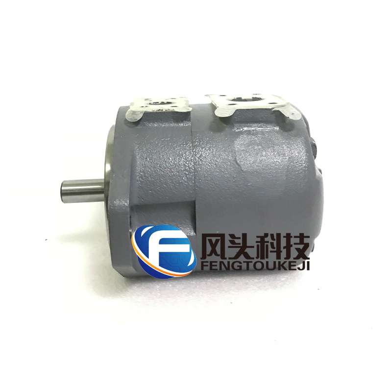 东京计器液压油泵SQP4-50-1A-18注塑压铸机鞋机叶片泵|msdalam kategori penghantaran bunga/bunga simulasi/tumbuhan berkebun, Gardening Supplies, Peralatan Perkebunan lain - dari Buy2taobao.com untuk memberikan perkhidmatan ejen Taobao profesional membeli