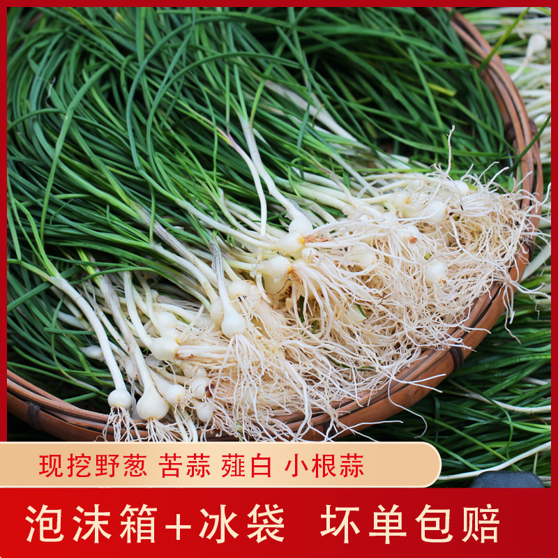 湖南湘西新鲜野葱野蒜沙葱小葱苦蒜小根蒜胡葱薤白野生藠头|ruв категории водной мясо/свежие фрукты и овощи/еда, свежие овощи/овощной продукции, свежие овощи, 葱类 - от Buy2taobao.com для оказания профессиональной услуги покупки агента Taobao