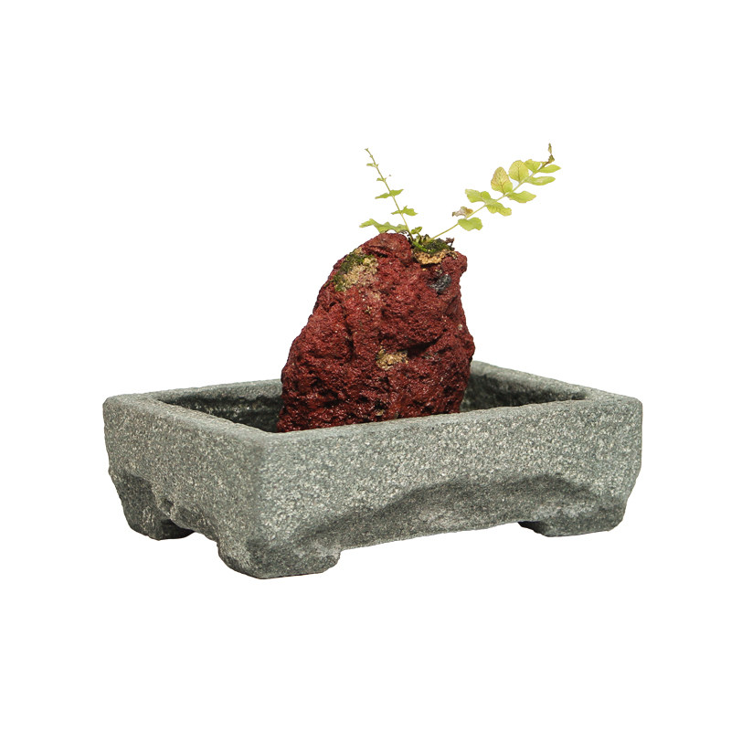 忆仟堂石头石景盆水培铜钱草菖蒲植物鱼缸花盆奇石家居小石雕摆件