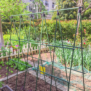 庭院楼顶种菜架子阳台种植箱爬藤架豆角黄瓜丝瓜植物牵引花架固定