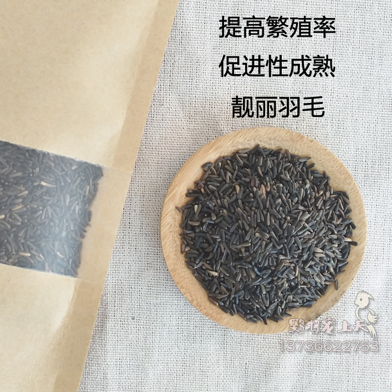 黑尖粟尼日尔草籽鹦鹉提性促繁殖金丝雀鸟食鸟粮进口100g 新粮