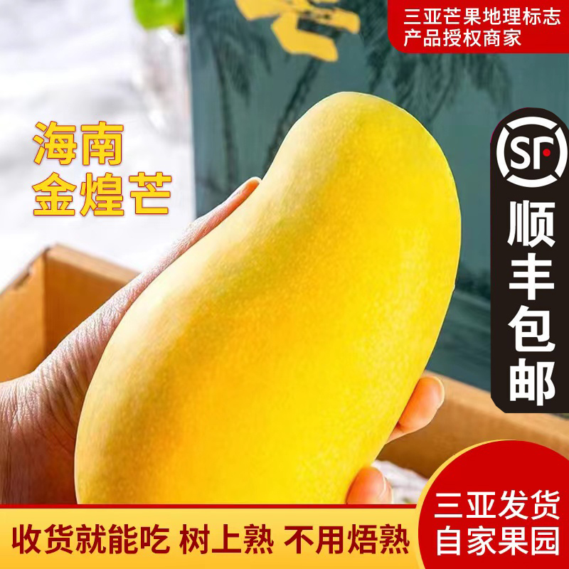 海南金煌芒树上熟热带大金黄应季水果水仙芒新鲜芒果三亚金皇顺丰在类目 水产肉类/新鲜蔬果/熟食, 新鲜水果, 芒果中 - 来自Buy2taobao.com提供专业的淘宝代购服务