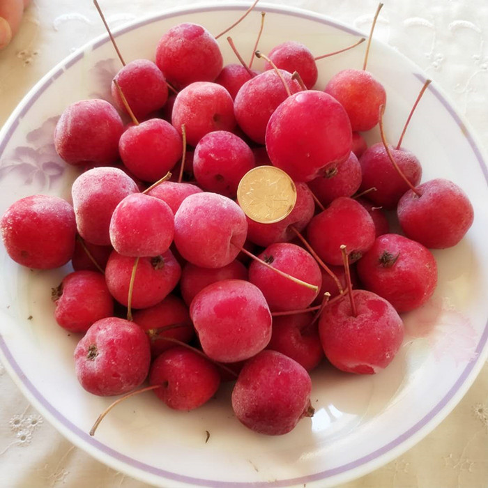 21年东北冻花红果海棠果冻果农家特产二斤四斤包邮