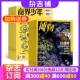 商界少年（1年共12期）+博物（1年共12期）杂志组合 2024年6月起订 杂志铺 中小学生课外阅读自然科普百科 少年财商启蒙期刊杂志