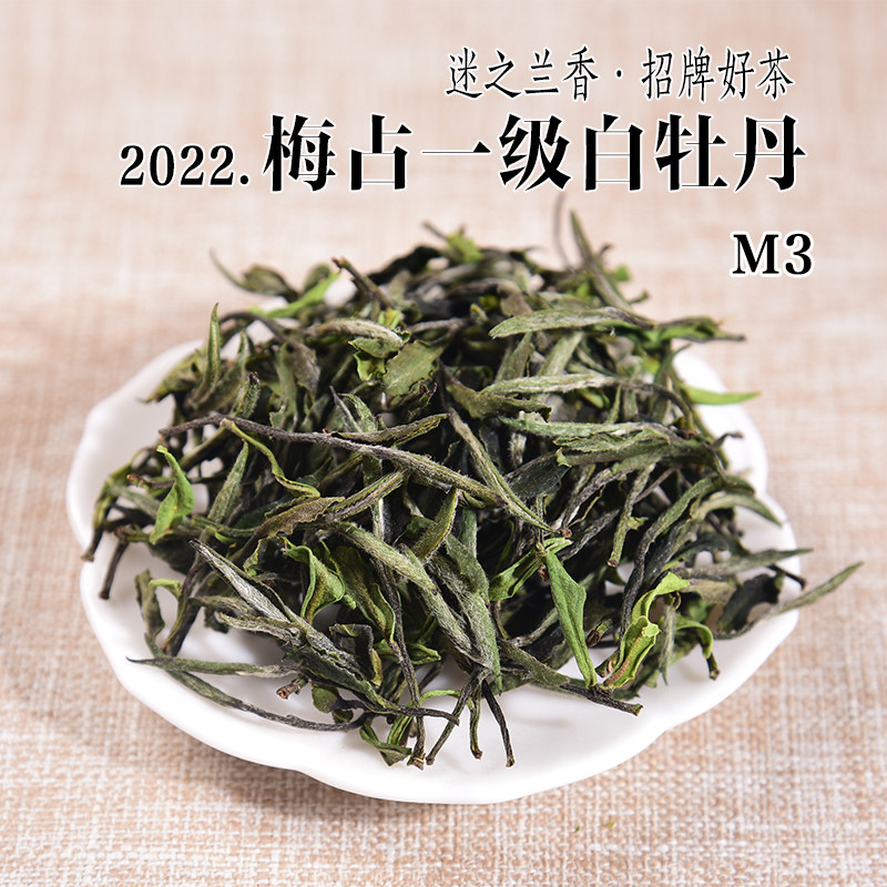 新茶 2022年明前梅占一级白牡丹m3 兰花香政和白茶 50g/500g