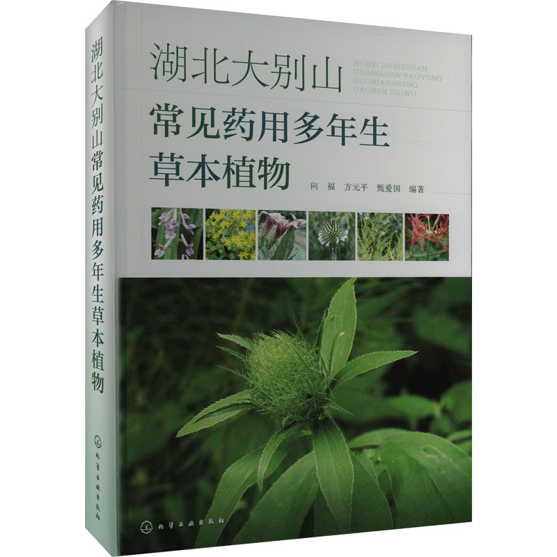 湖北大别山常见药用多年生草本植物 向福,方元平,甄爱国 编 中医生活 新华书店正版图书籍 化学工业出版社