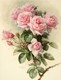 新款印花法国正品DMC十字绣 名画 油画 浪漫粉玫瑰
