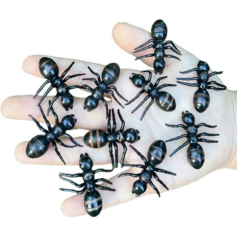 仿真蚂蚁大小号幼儿园教学用品儿童玩具认知益智静态昆虫动物模型