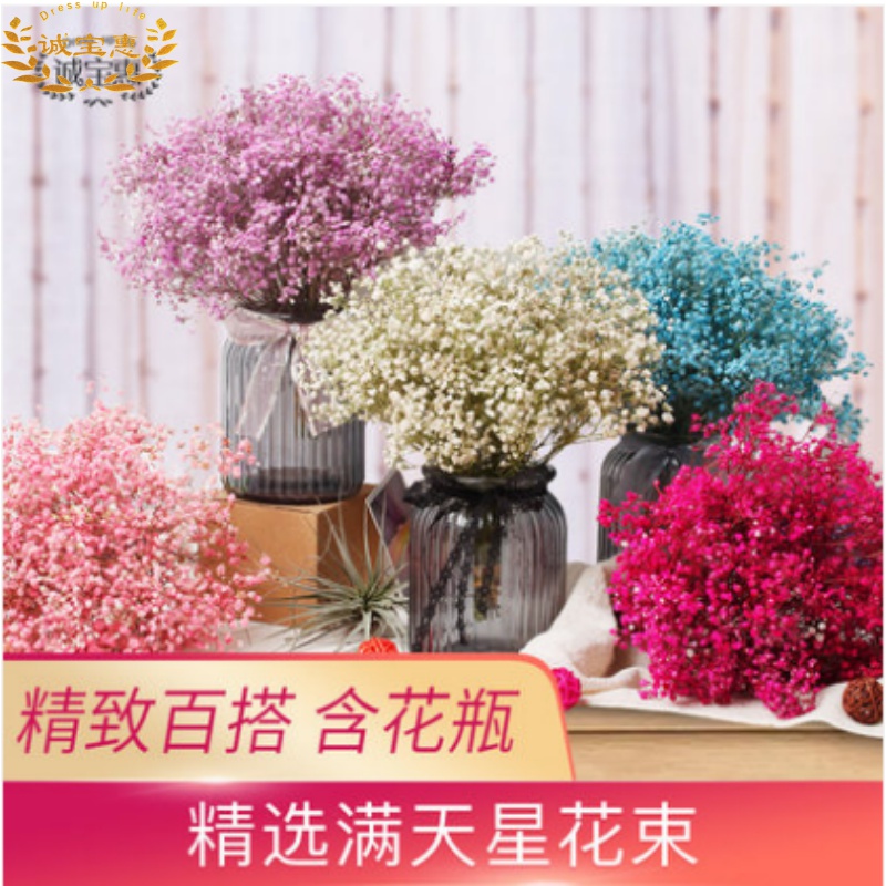 Yunnan Gypsophila Dried flowers Forget me not Home Furnishing a decoration Like a breath of fresh air decorate flower ins Dry bouquetin the Home accessories , Vase/Flower/Artificial flowers/Imitation jewelry , Artificial flowers/Artificial flower category - from Buy2taobao.com to provide professional Taobao agent buy service