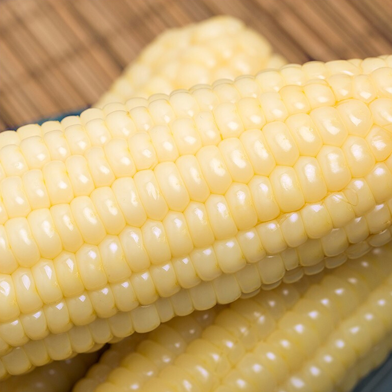 Northeast Corn fresh Non-GM Sweet glutinous rice Corn Stick Independent vacuum packing 10 rootin the Agri rice/Dried foods/Condiment , Meter/Flour/Grains , Corn category - from Buy2taobao.com to provide professional Taobao agent buy service