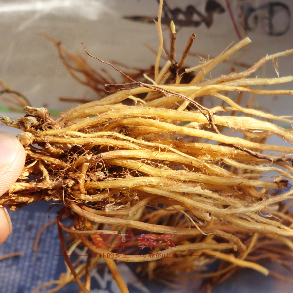 哀牢山野生龙胆草 野蚕豆根 天然野生 胆草 苦胆草 200克