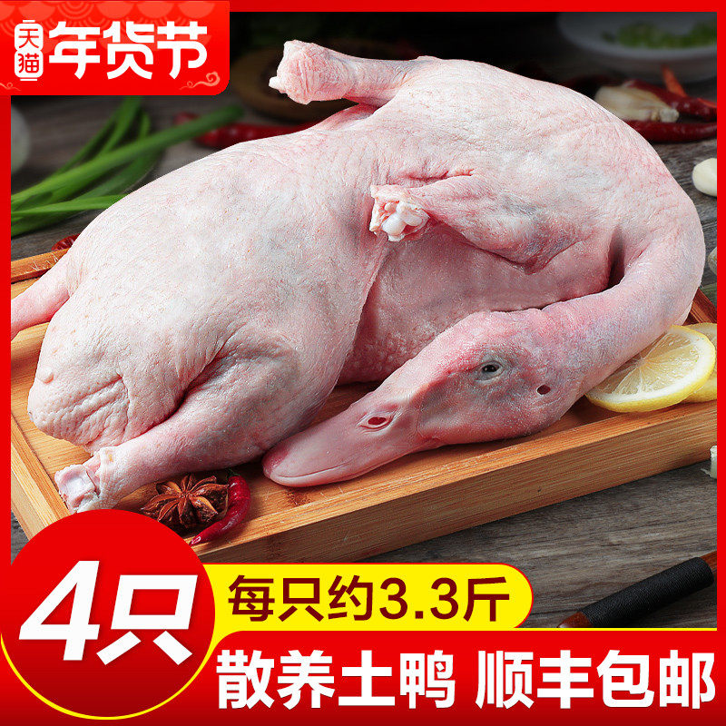 老鸭子整只鸭货生鲜食材老鸭肉新鲜冷冻食品白条土鸭番鸭麻鸭