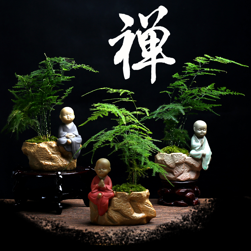 文竹创意植物花盆陶瓷小和尚小佛禅意