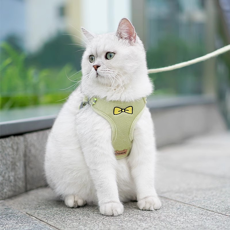 胖猫咪牵引绳宠物背带遛猫神器防挣脱外出专用背心式猫绳幼猫夏季