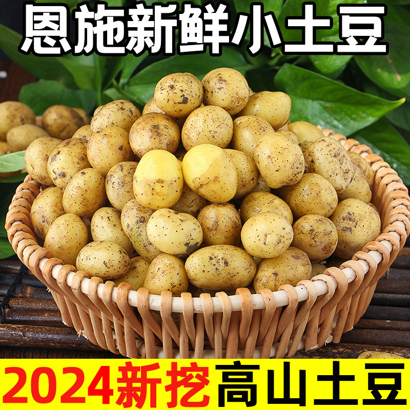 恩施小土豆现挖湖北新鲜黄心土豆10斤当季蔬菜整箱迷你马铃薯洋芋