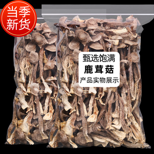 福建特产古田鹿茸菇鹿茸菌特级干货500g包邮茸菇菌新鲜食用菌菌汤