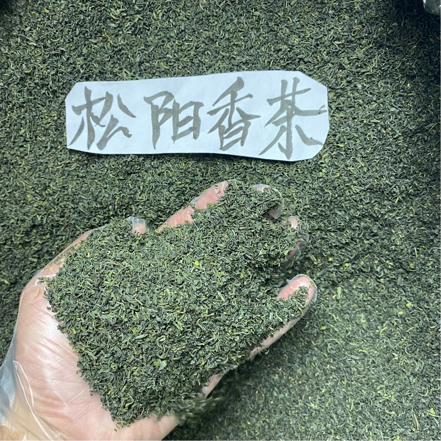 碎茶叶松阳香茶2024新茶春茶茶末