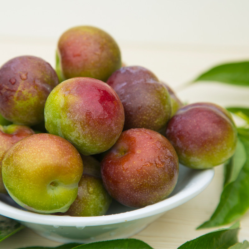 四川脱骨李新鲜脆甜当季水果新鲜 5斤青布林土青李子脱骨脆李