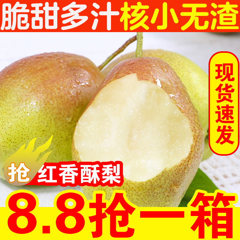 梨子新鲜10斤整箱小香梨当季降火水果新鲜红香酥梨山西青梨雪梨5在类目 水产肉类/新鲜蔬果/熟食, 新鲜水果, 梨中 - 来自Buy2taobao.com提供专业的淘宝代购服务