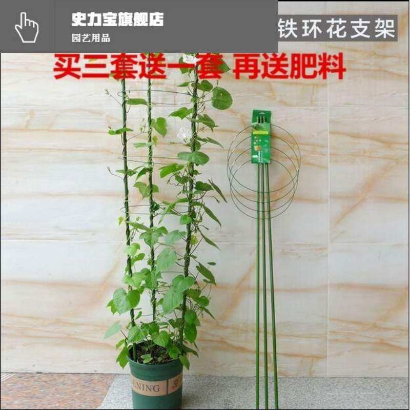 文竹架子支架攀爬