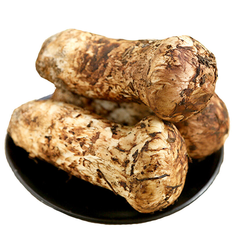 【预售】新鲜松茸香格里拉野生菌菇甘孜野生鲜松茸菌菇7-9cm 500g